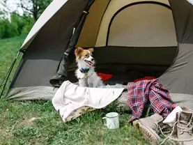 Camping Solopuent Castiello de Jaca Natur apartamentos turísticos en Castiello de Jaca